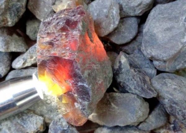 افزایش قیمت سنگ‌آهن در بازارهای جهانی